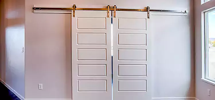 Glass Barn Door with Installation Hardware Kit Newport