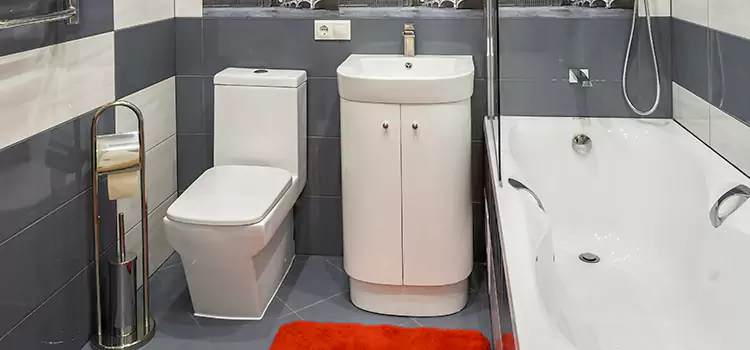 Hansgrohe Shaving Mirror Newport