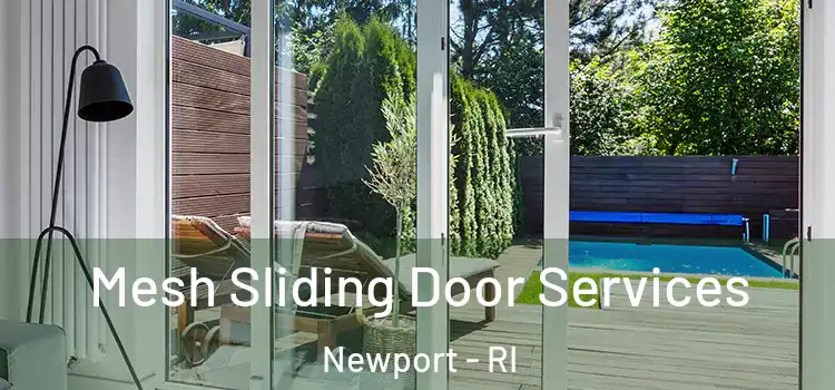 Mesh Sliding Door Services Newport - RI